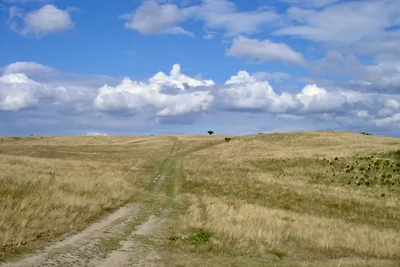 Ferienhaus am Meer inkl. 100 MBits
