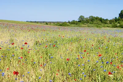 Ferienhaus am Meer inkl. 100 MBits