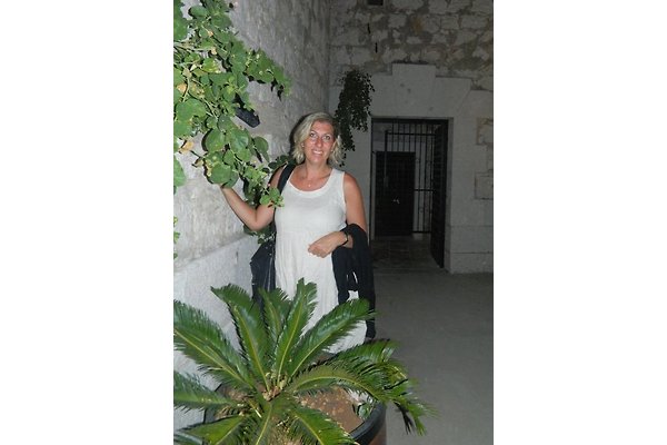 Frau S. Saric Frau S. Saric