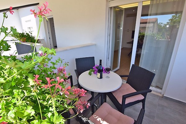 Ferienwohnung Pula