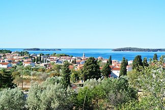 vue sur la mer Brijuni avec piscine