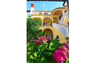 ***Apartments fur 2 am Strand-200 m