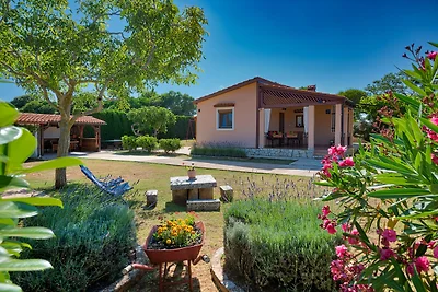 Ferienhaus MANDA FOR 4