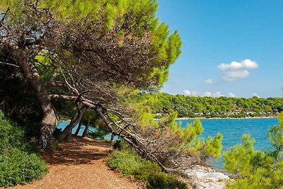 App. SOLE-Pula fur 2-3 am Strand