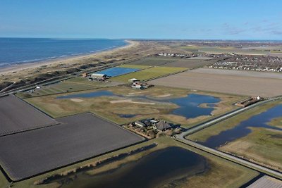 De Jutter (der Strandguträuber)