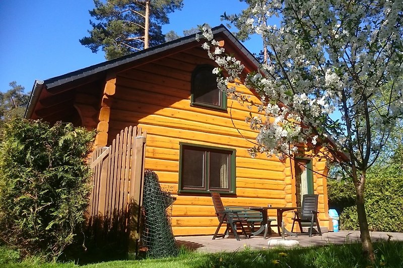 im Garten