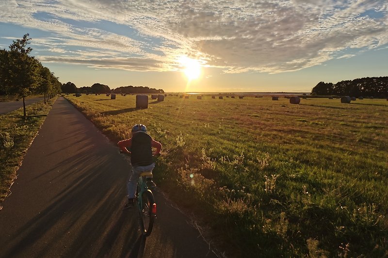 Ländliche Idylle mit Fahrrädern, Pflanzen und Sonnenuntergang.