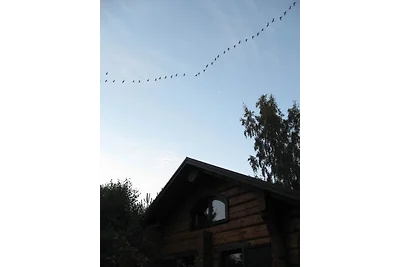 Dat Traumhus