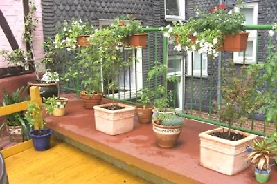 Eisenach FEWO 