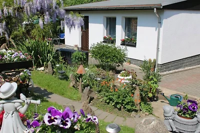 Ferienhaus Pallme
