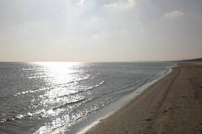 Ferienwohnung WALDBLICK