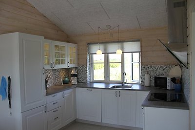 Ferienhaus Skovmose