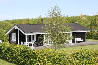 Vakantiehuis Skovmose