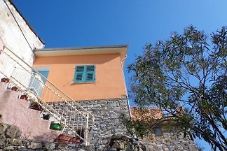 Rocca