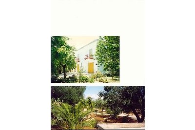 Villa Vincenza