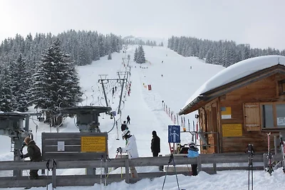 Hochkrimml 121, Filzstein