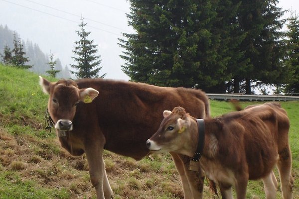 Familie E. Pögler Familie E. Pögler