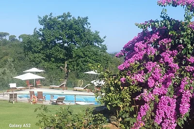 Ginestra - LA TINAIA