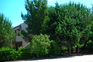 Apartament La casa tra i pini