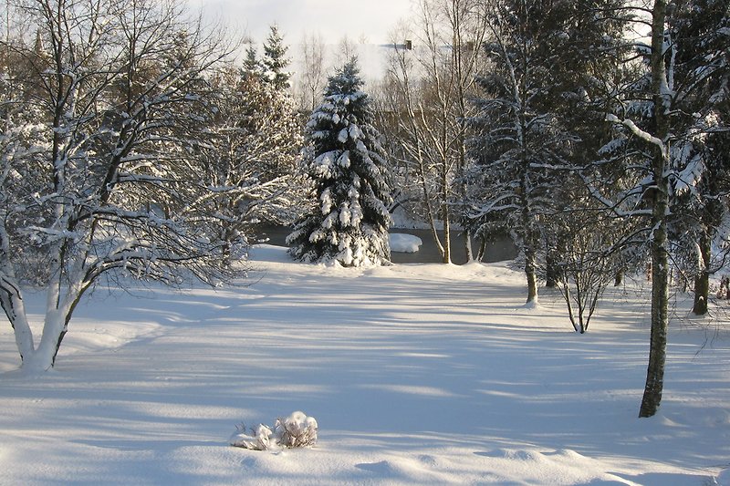 Jardín en invierno