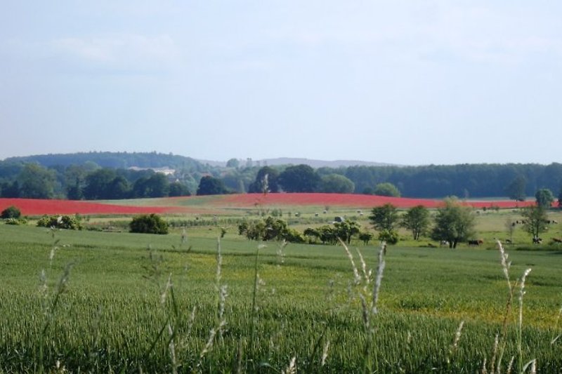 Landschaft bei Ziddorf
