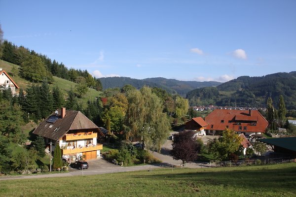 Ferienwohnung Haslach