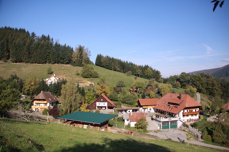 Berglandschaft mit Haus, grünen Wiesen und malerischem Ausblick. Erholung in den Alpen.