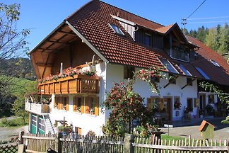 Ferienwohnung Wiesenblick