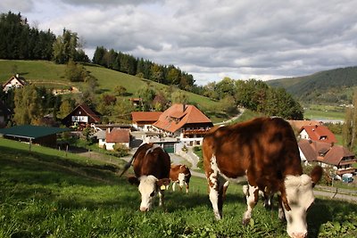 Oberer Strickerhof für 2 bis 9 Pers