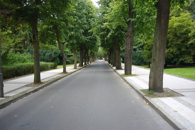 Eine Straße