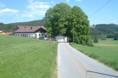 Maderhof