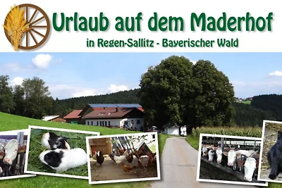 Maderhof