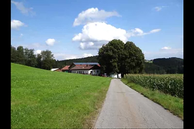 Maderhof