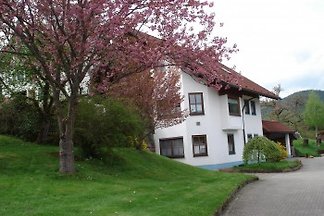 Ferienwohnung Gaiser am Bosler