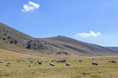 Dolcevacanza casa PINO