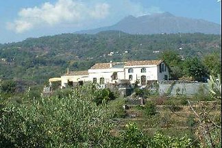 Palmento de Gilferraro Sicily