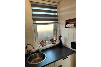 Ferienhaus Blaauboer