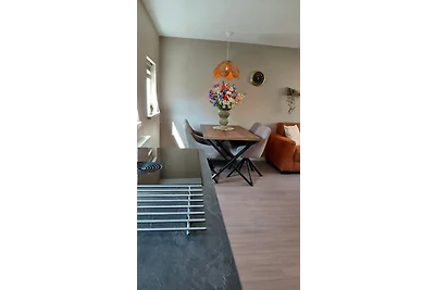 Ferienhaus 't Zeewierhuisje