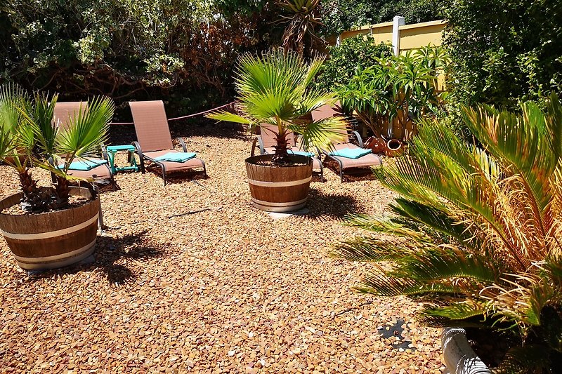 Garten fuer Family room, Roxis Studio und Bamboo Room