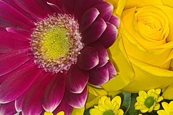 Frau T. Blume Frau T. Blume