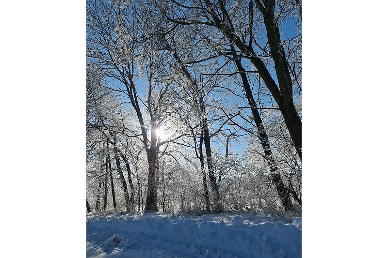 Winter im Sauerland