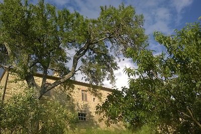 Casa Cappuccini