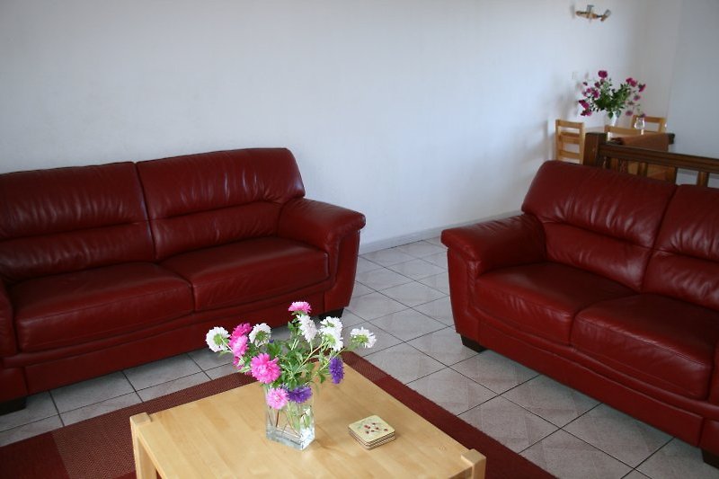 Salon z 2 skórzanymi sofami