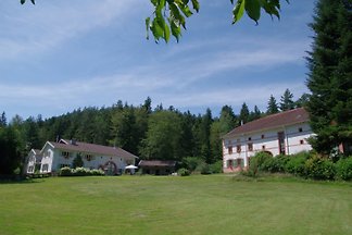 Marmonfosse