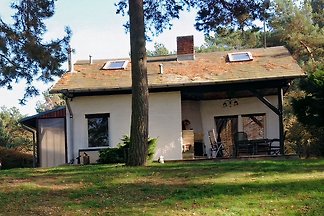 Domek letniskowy Ferienhaus Heidesee