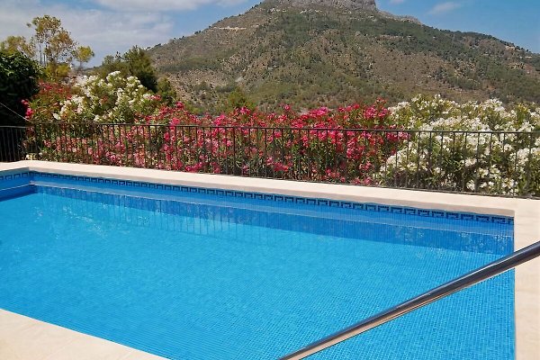 Pool mit Blick auf den Pool mit Blick auf den