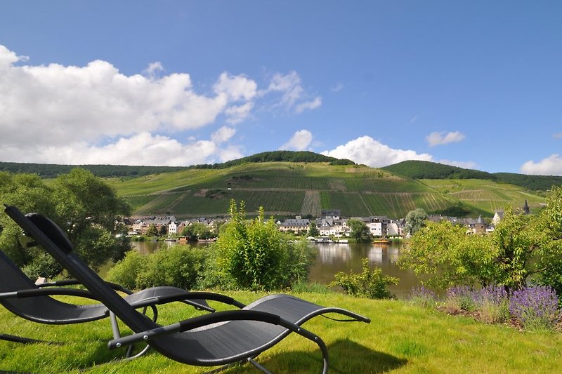 Unobstructed view of the Moselle riverbank.