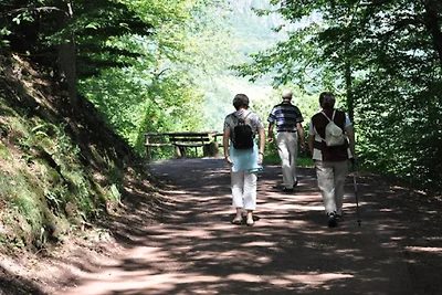 Ferienwohnungen am Moselufer Zell