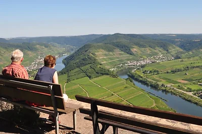 Ferienwohnungen am Moselufer Zell