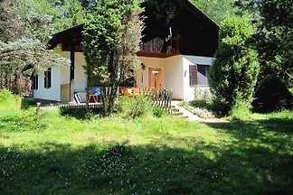 Ferienhaus HIRT i.d. Bergen, Alm